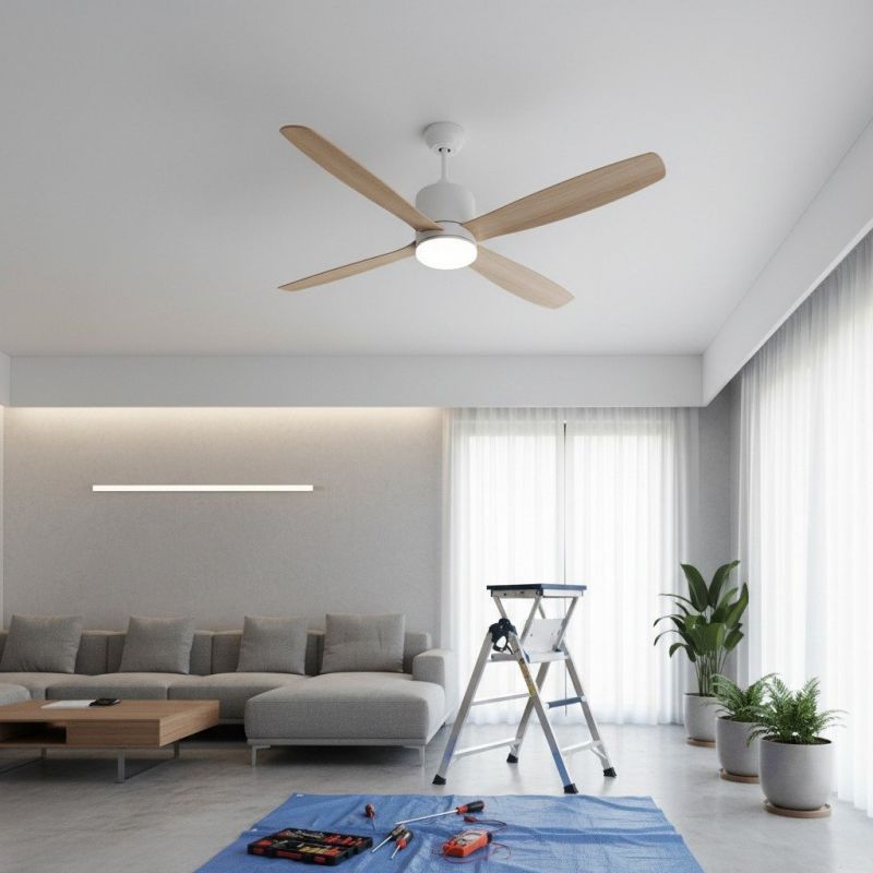 Ceiling Fan Repair